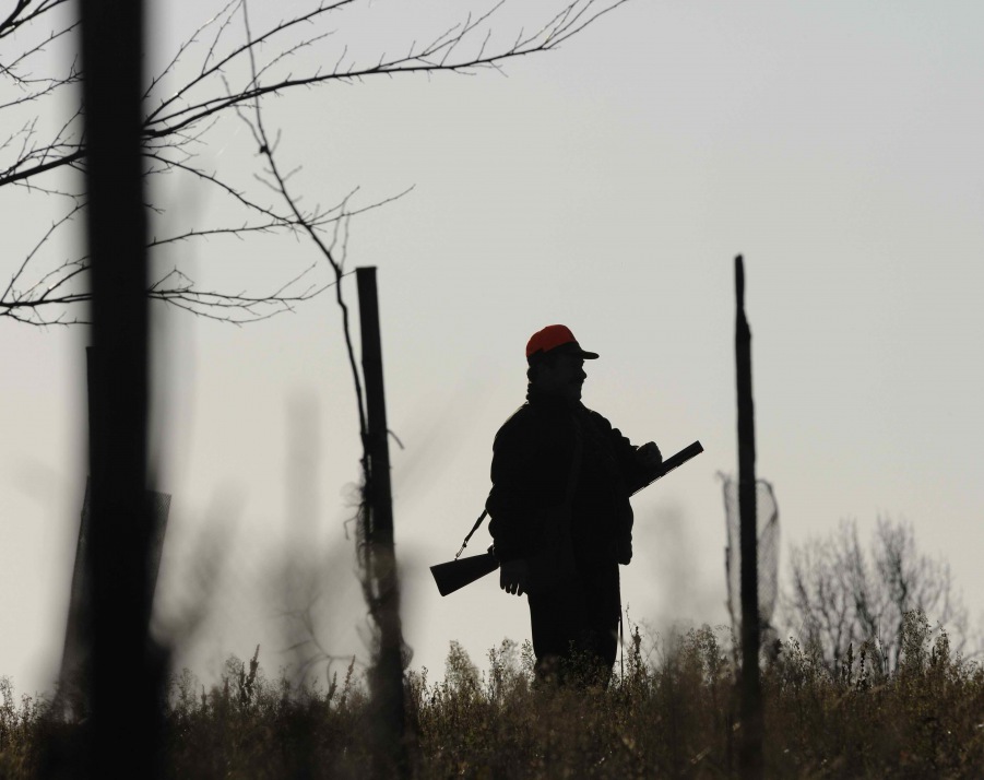 Hunting