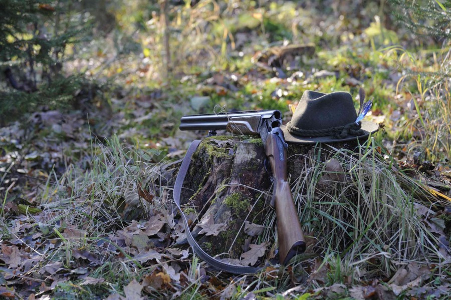 Hunting