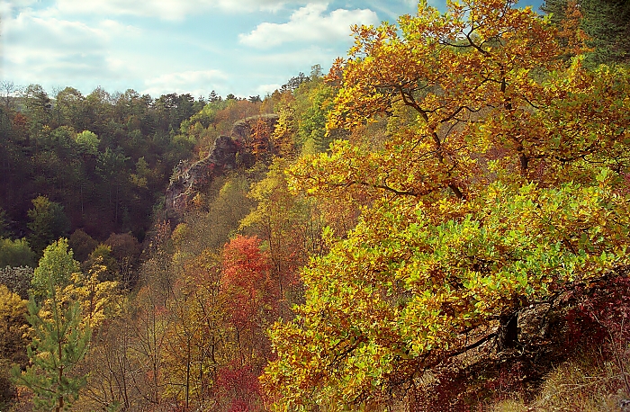 autumn