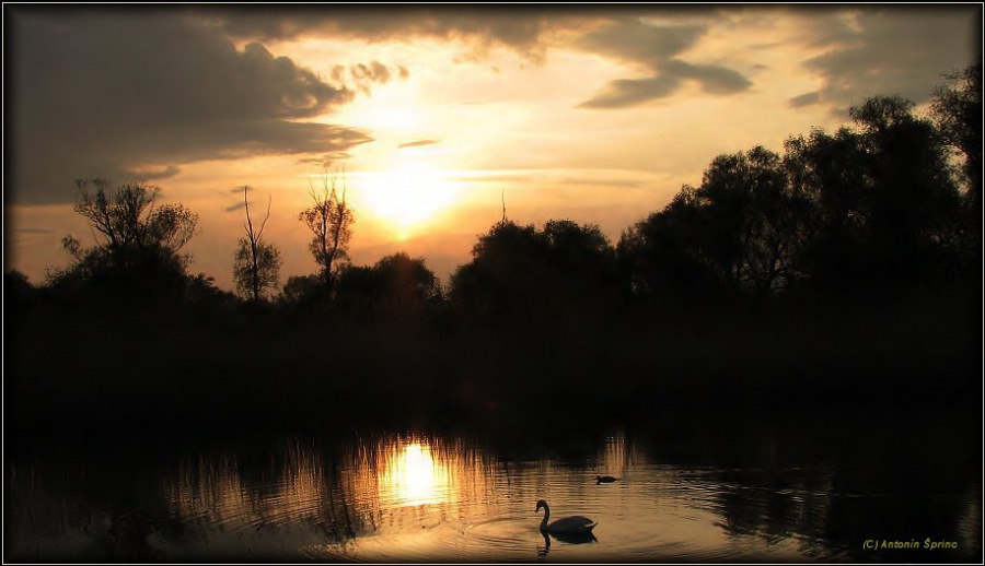 pond