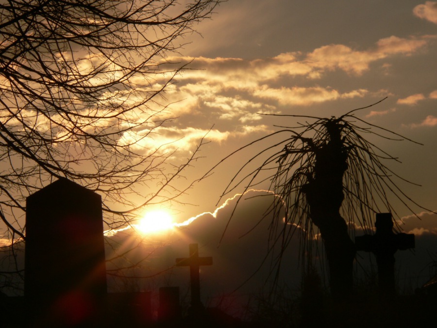 Evening on graveyard