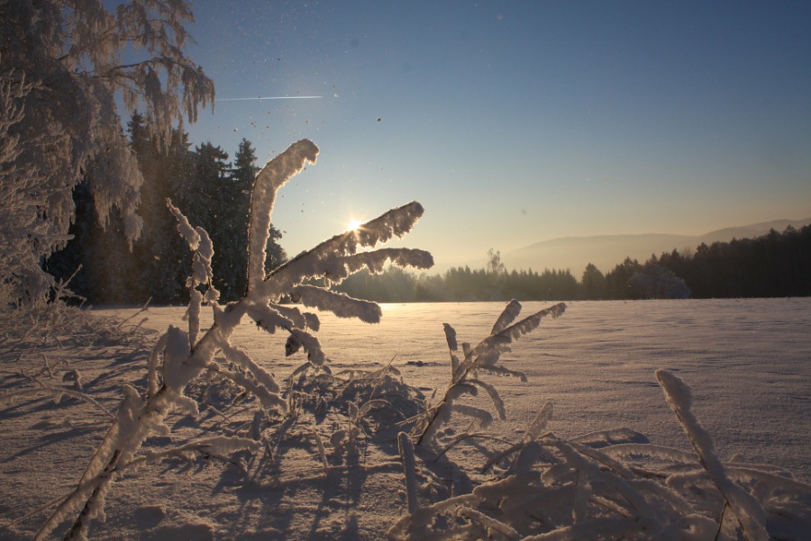 Magic Winter