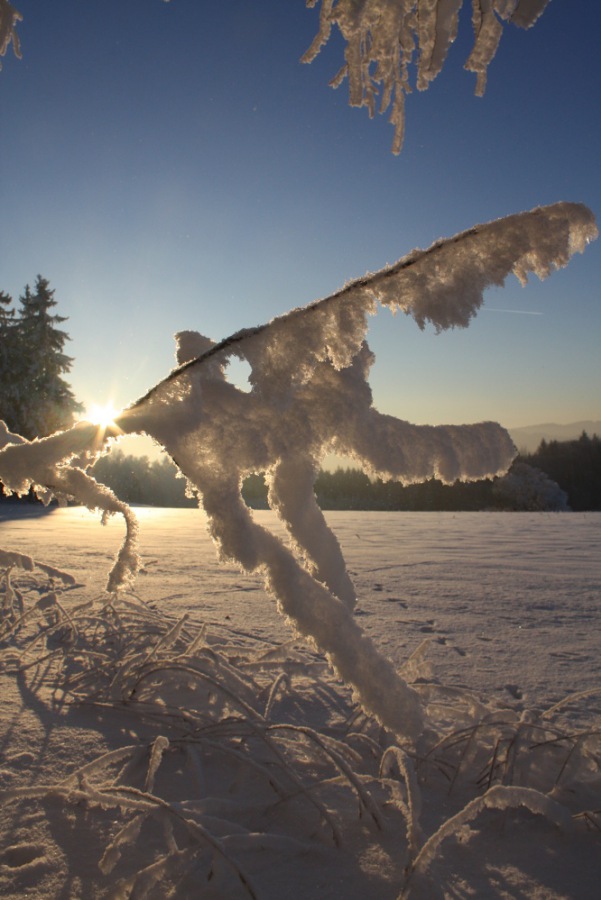 Magic Winter