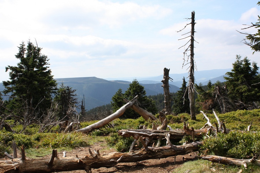 Jeseníky mountains