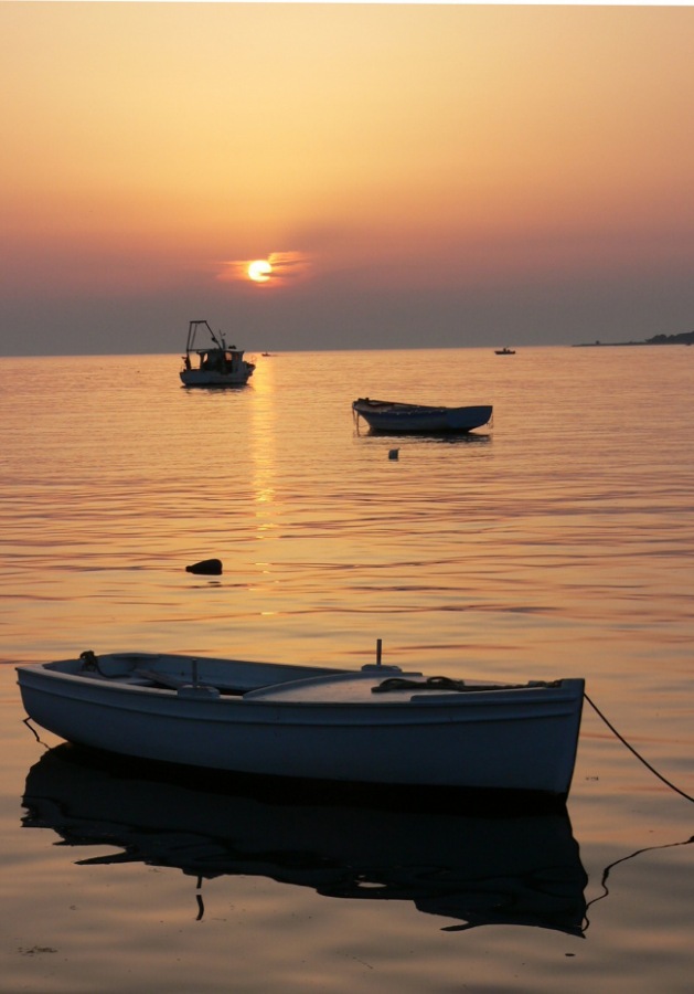 Evening in the port (harbour)