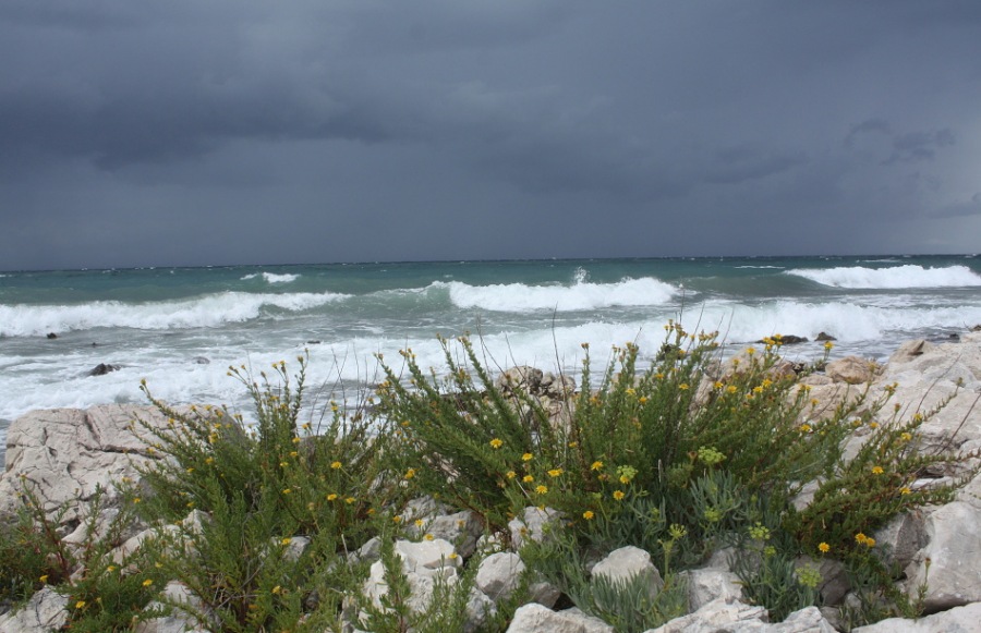 Stormy( rough,turbulent ,raging ,upset) sea 