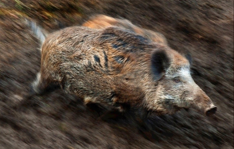 Run away