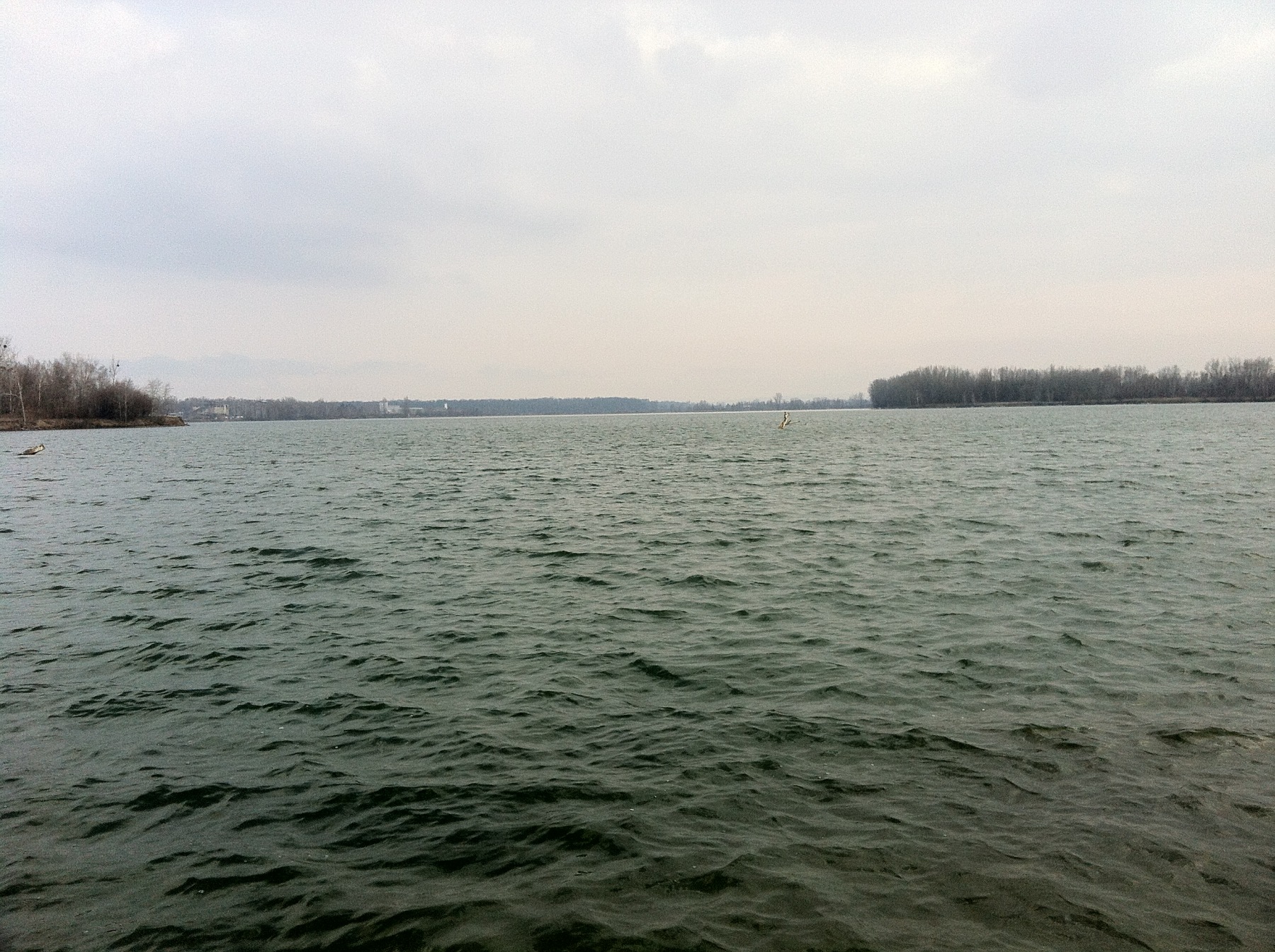 Afternoon in the Skašovský pond