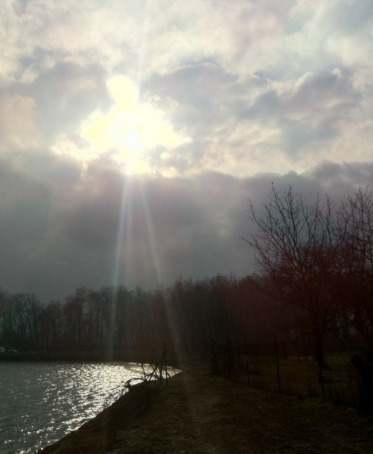 Afternoon in the Skašovský pond