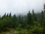 Západné Tatry - Roháče
