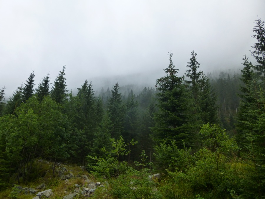 Západné Tatry - Roháče