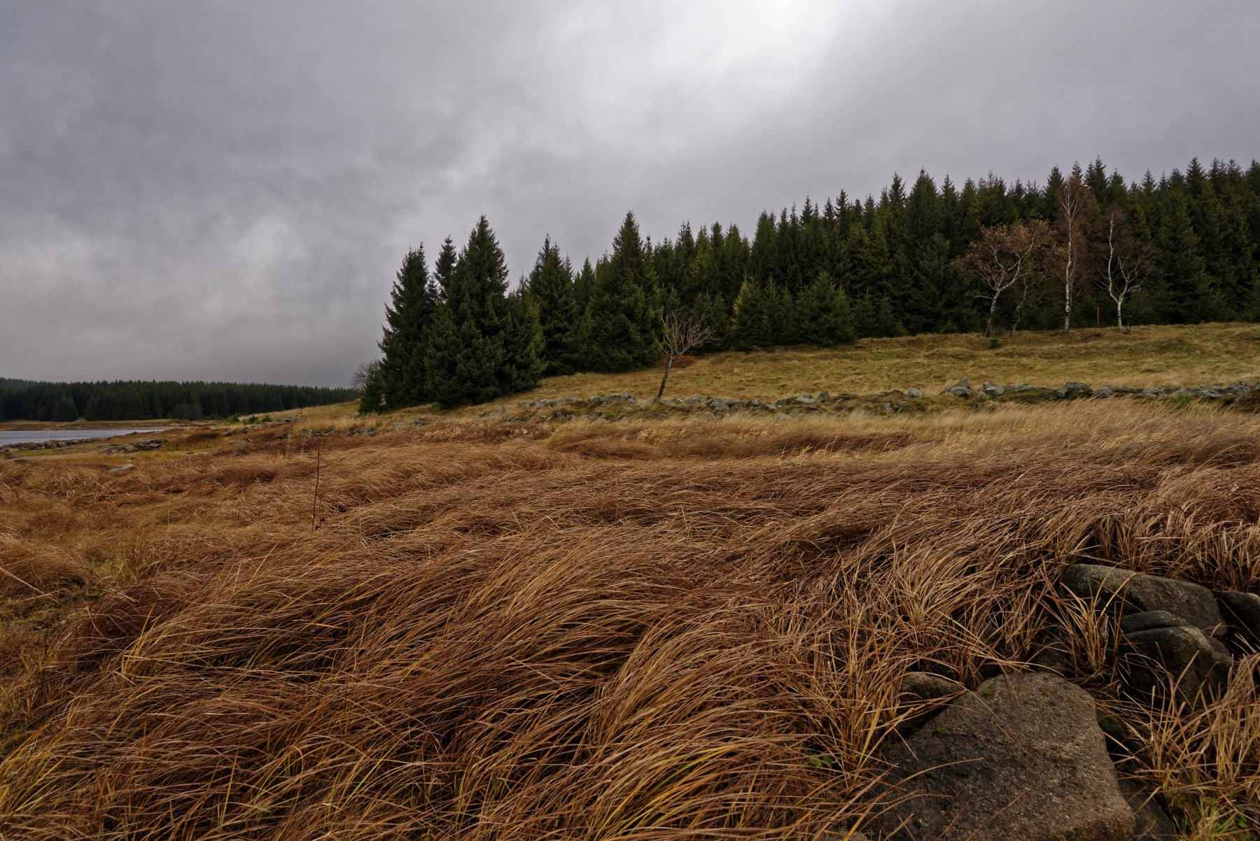 Ore Mountains