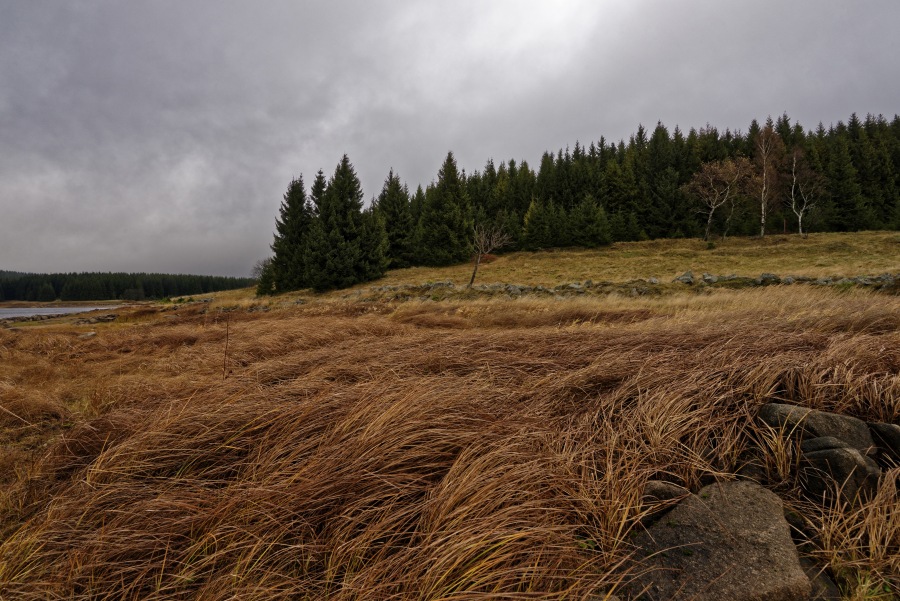 Ore Mountains