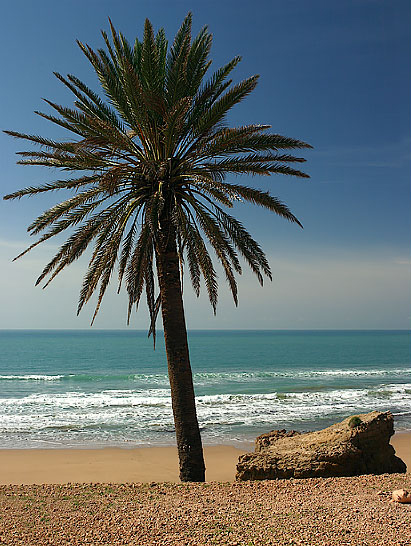 Maroco, Atlantic