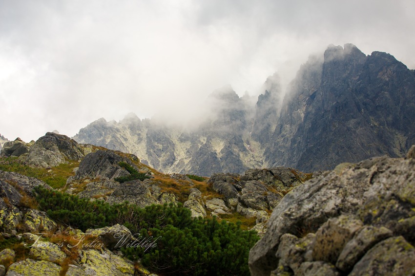 High Tatras