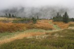 Krkonoše
