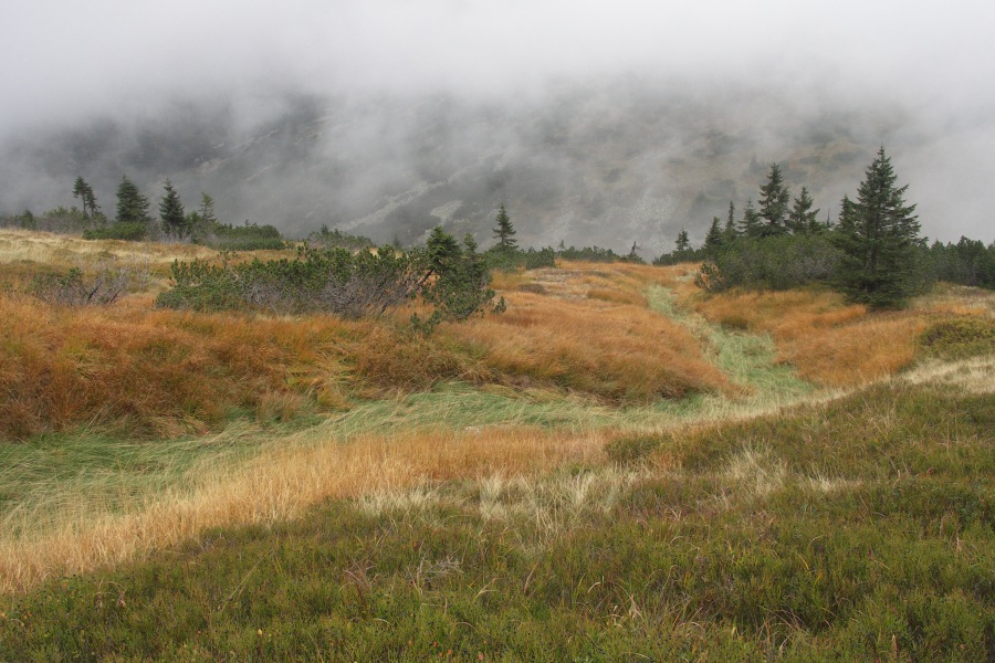 Krkonoše