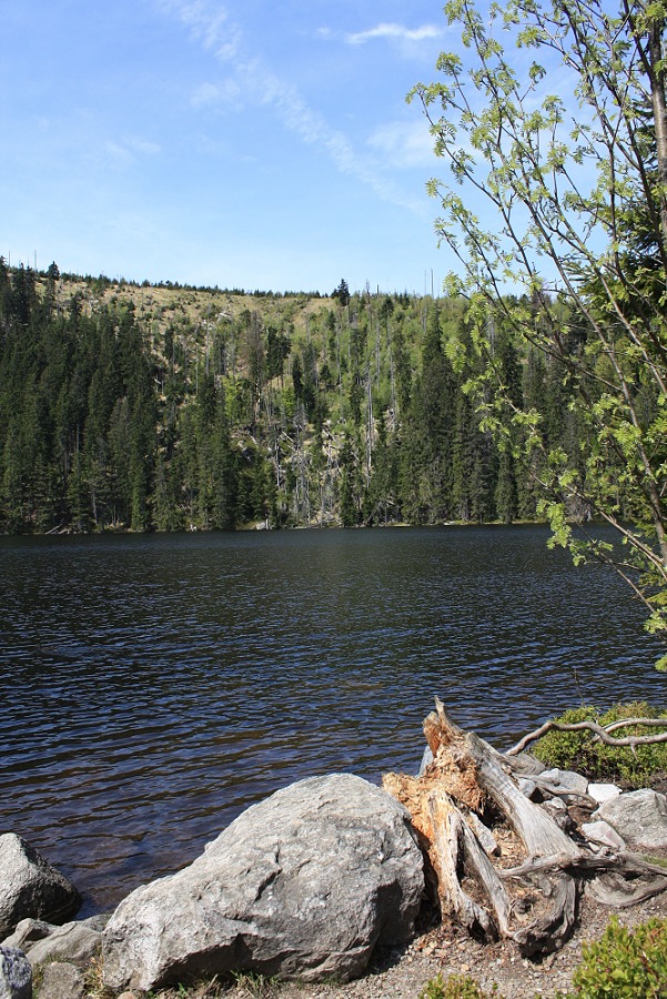 Prášilské jezero