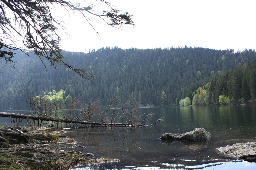 Černé jezero