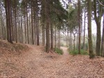 Lesní cesta