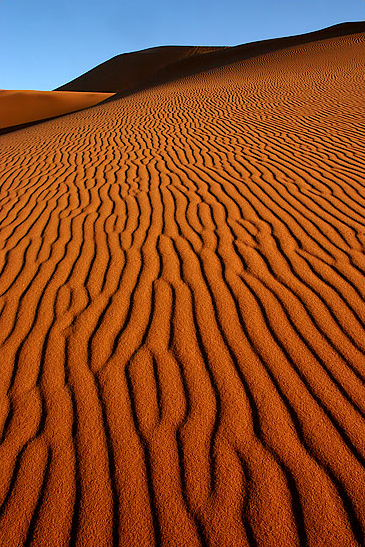 Sahara
