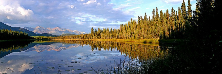 Wrangler St. Elias n.p.