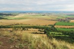Podřipsko