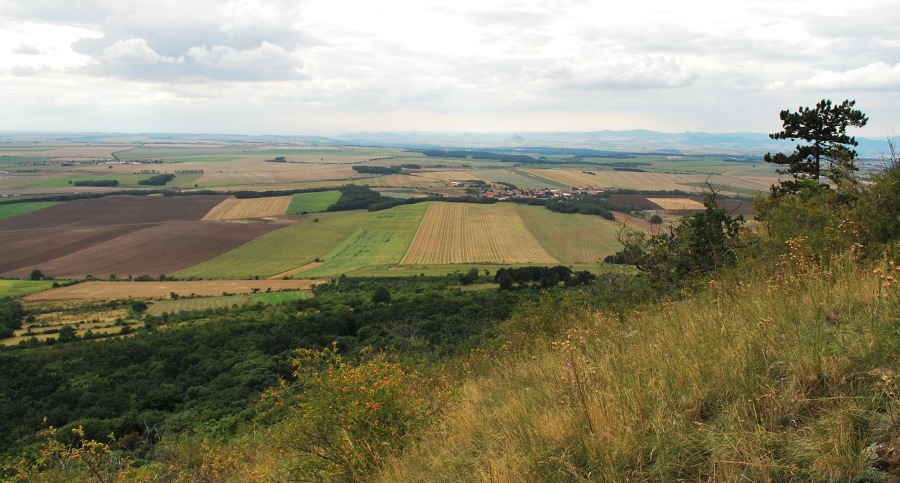 Podřipsko