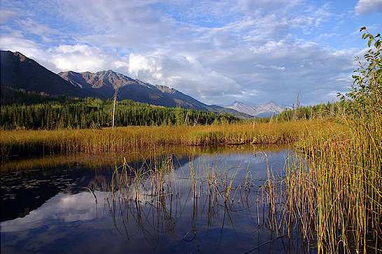 Wrangler St. Elias n.p.