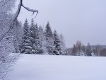 Zima na šumavě